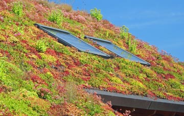 Fornham All Saints living roof systems