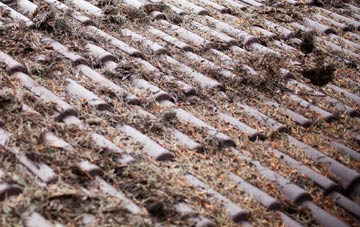 Fornham All Saints roof cleaning companies