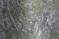 Fornham All Saints fibreglass roof work